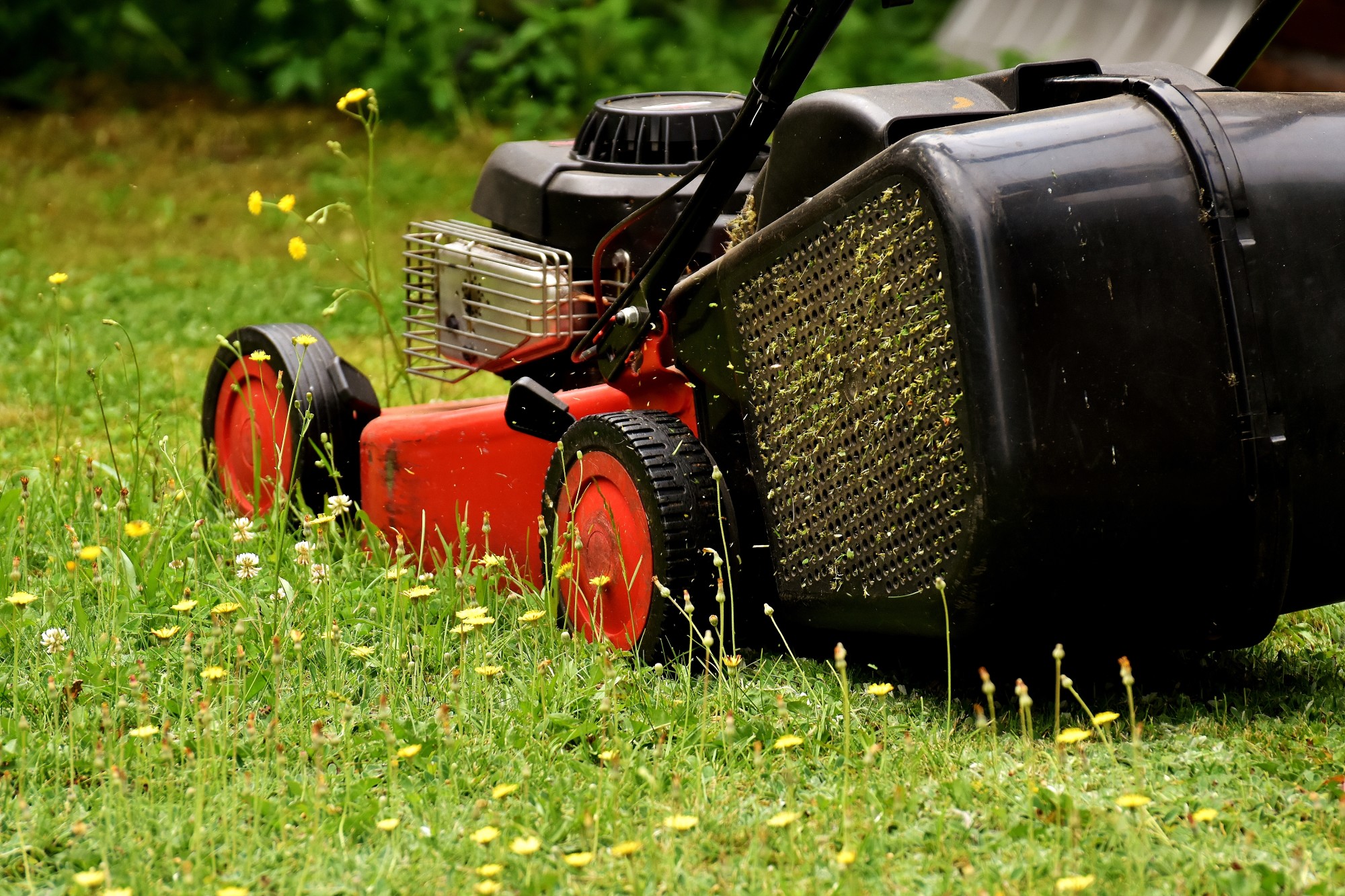 5 Compelling Reasons to Hire a Professional Lawn Mowing Service