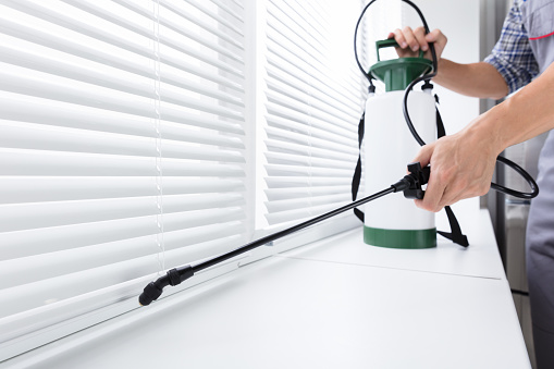 Primary Signs You Need To Hire Professional Pest Control Services
