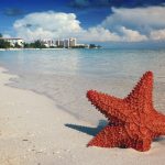 Fun and Memorable Things to Do in the Bahamas as Soon as You Arrive