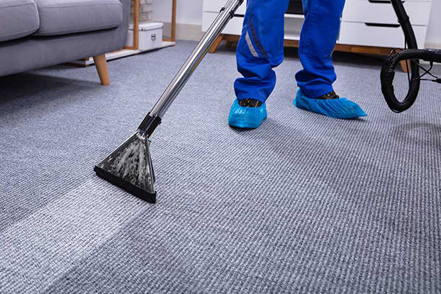 How to Choose the Best Mat Cleaner