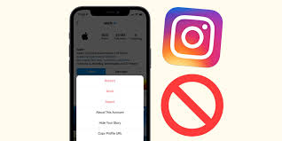 Reasons Why Your Instagram Account Is Blocked