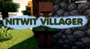 Nitwit villager
