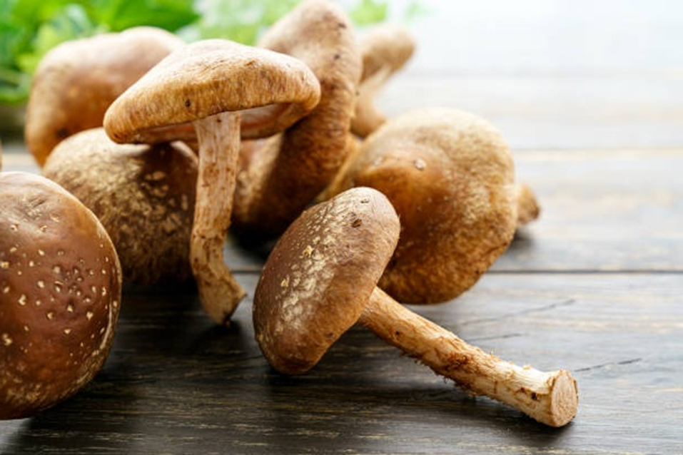 Shiitake Mushrooms: Recipe