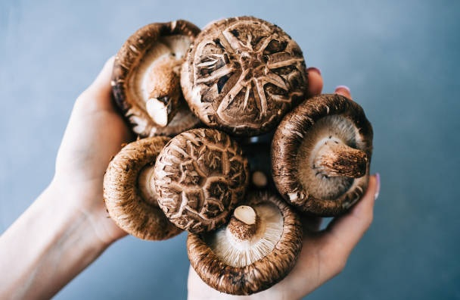 Shiitake Mushrooms: What Are They?