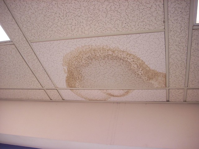 Ceiling water damage with bucket catching leak