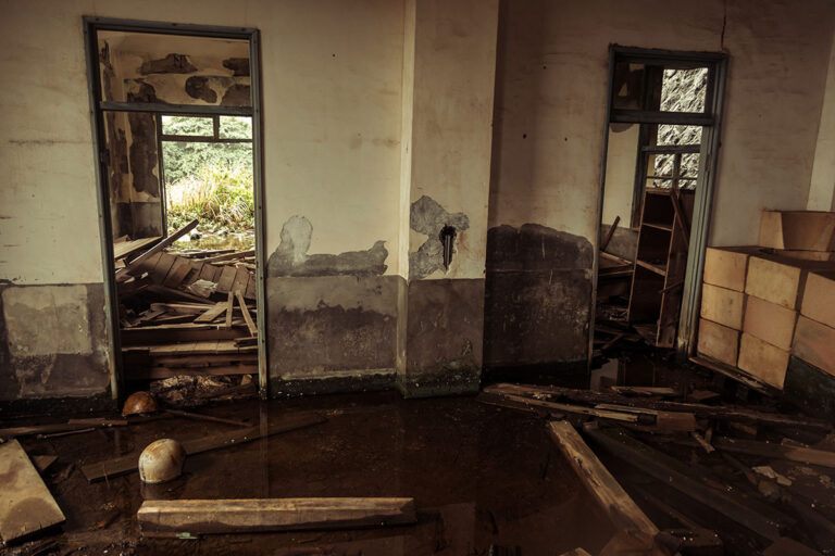 Water Mitigation Services